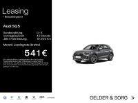Audi SQ5 - Vorschau Bild 1