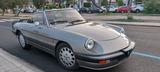 Alfa Romeo Spider Quadrifoglio - gebrauchte Alfa Romeo Spider aus dem Jahr 1987