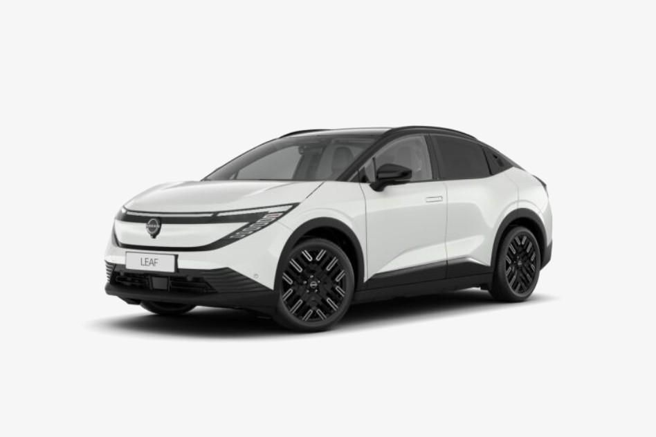 Image of Nissan Leaf