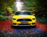 Ford Mustang 50 Jahre Edition, Tausch od. Verkauf - Ford Mustang: Edition