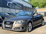 Audi A3 Cabriolet 1.6 Tdi Ambition S Line/Leder/Xenon - Audi A3: Cabrio, 6.1