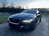 Jaguar XE 20d R-Sport | Schiebedach | RFK | 114t - Jaguar in Köln