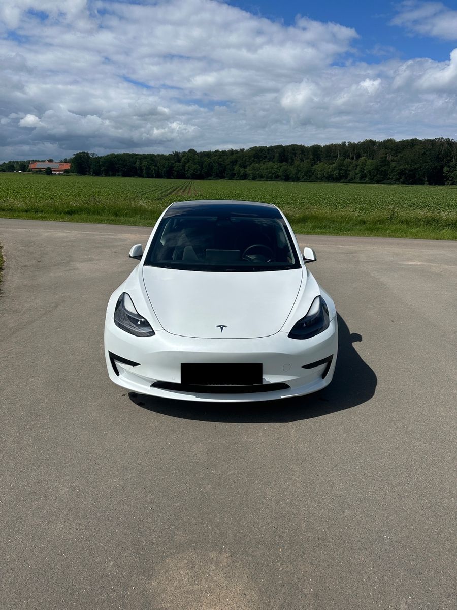 TESLA Model 3 Standard-Reichweite Plus - Hinterrad...