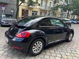 Volkswagen Beetle 1.2 TSI CUP CUP - Volkswagen Beetle: Cup