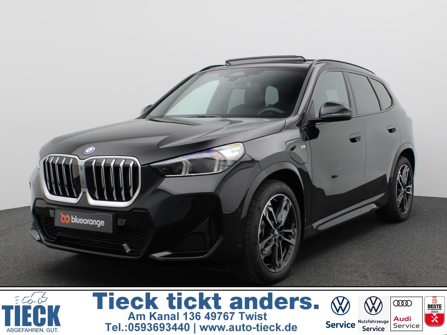 BMW X1 25 e xDrive M Sport AHK Pano Navi LED Dig. Co