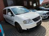 Volkswagen Caddy Maxi  MIT ROLLSTUHLRAMPE - Volkswagen Caddy Maxi in Braunschweig