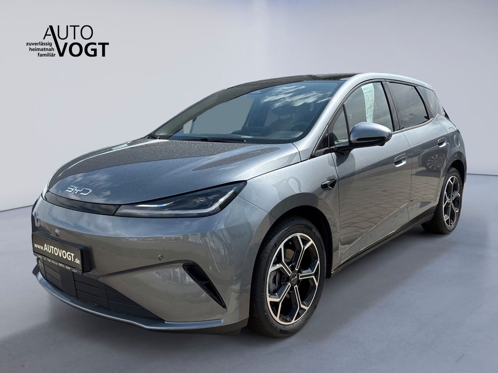 BYD DOLPHIN