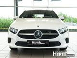 Mercedes-Benz A 220 PROGRESSIVE+LED+NAVI-MBUX+DAB+PARKTRONIC+ - Mercedes-Benz A-Class: Mb
