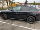 Alfa Romeo Stelvio 2.0 veloce - Alfa Romeo Stelvio veloce mit Benzin-Antrieb