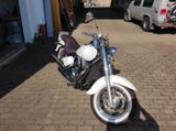 Kawasaki VN 800 Classic  - Offers matching your search criteria