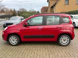 Fiat Panda, Servo, Klima, SEHR GEPFLEGT - Fiat Panda: Rot