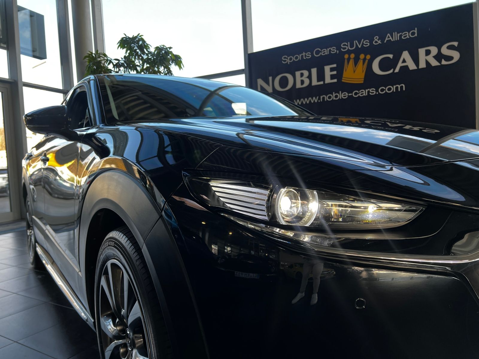 Fahrzeugabbildung Mazda CX-30 Selection AWD 360° BOSE LED NAVI