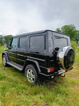 Mercedes-Benz G 500 V8, AHK, TÜV und Inspektion neu, kein Rost - Mercedes-Benz G-Class mit Benzin-Antrieb