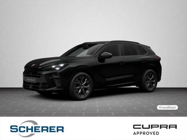 Image of Cupra Terramar