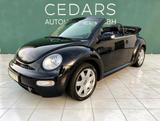 Volkswagen New Beetle 1.8 20V Turbo Cabriolet - Volkswagen New Beetle: Turbo