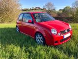 Volkswagen Lupo 1.6 GTI - Volkswagen Lupo: Rot