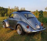 Volkswagen Käfer Faltdach 1600 teilrestauriert - Volkswagen Käfer: Faltdach