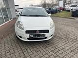 Fiat Grande Punto 1.2 8V Active - Fiat Grande Punto Gebrauchtwagen