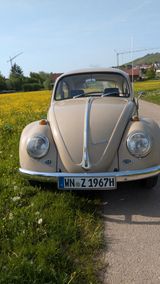 Volkswagen Käfer - Volkswagen Käfer in Stuttgart