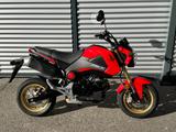 Honda MSX 125 / SEHR GEPFLEGT / SERVICE NEU !! - KLEINKRAFTRAD
