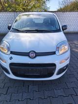 Fiat Panda 1.2 Easy Fire mpi erste Hand Klima - Fiat Panda: Fire