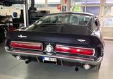 Ford Mustang GT350 Shelby Fastback  - Ford Mustang aus 1968: Fastback