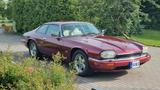 Jaguar XJS - Jaguar XJS von privat