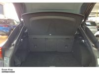 Cupra Terramar - Vorschau Bild 6