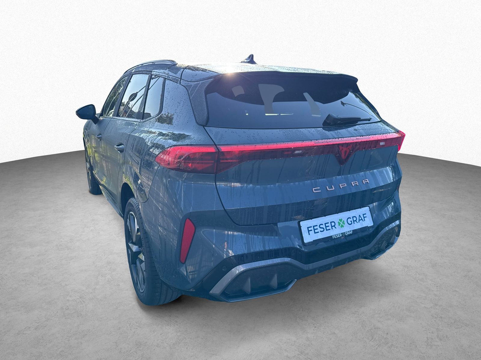 Cupra Terramar - Bild 5