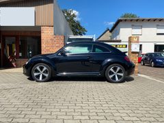 Beetle Exclusive Design  Leder  Sitzh. Panorama