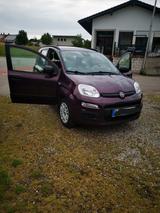 Fiat New Panda 1.2 8V MY PANDA - Fiat New Panda in Dresden