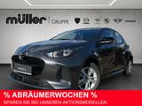 Mazda 2 Hybrid VVT-i 116 PS CVT FWD Centre - graue Mazda 2 Hybrid