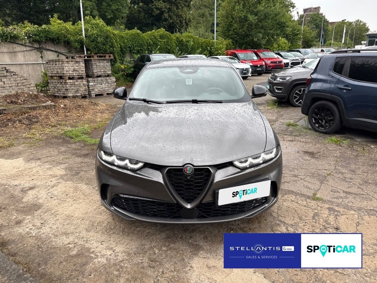 Alfa Romeo Tonale Edizione Speciale Plug-In-Hybrid A WD imagem 2