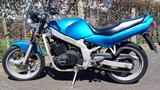 Suzuki GS 500 - Angebote