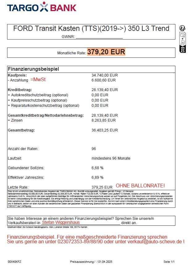 Ford Transit 350 TDCi L3H2 AHK Kamera Laderaumschutz