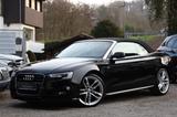 Audi A5 Cabriolet 2.0 TDI quattro/S-LINE+/DSP/NAVI/20 - Audi A5: TDI