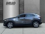 Mazda CX-30 Selection 2WD 2.0 PDC+Kamera Navi CarPlay  - Mazda CX-30 Gebrauchtwagen in Hamburg