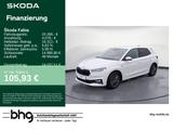 Skoda Fabia Tour 1.0 DSG *KAMERA*NAVI*SITZHEITZUNG* - Skoda Fabia Gebrauchtwagen in Karlsruhe