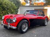 Austin Healey 3000 MK1 Frame Off restauriert  - Austin Healey: Mk1