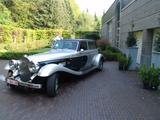 Andere exclusive PANTHER De Ville - Andere: Panther