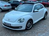 Volkswagen Beetle 1.2 TSI Design PANORAMA TOP - Volkswagen Beetle in Duisburg