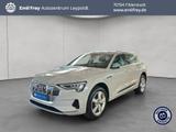 Audi e-tron 55 quattro advanced Pano - mit Elektro-Antrieb: Beige