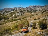 Jeep Wrangler Rubicon 2.8 CRD Autom. Rubicon - Jeep Wrangler: Crd