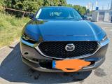 Mazda CX-30 2.0 SKYACTIV-X M-Hybrid Selection Sele... - Mazda Gebrauchtwagen in Mainz