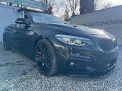 Fahrzeugabbildung BMW 220 220 d M PAKET M2 CS UMBAU