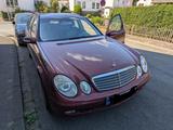 Mercedes-Benz E 220 CDI T CLASSIC Classic - Mercedes-Benz E 220: Rot, Leder