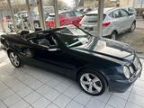 Mercedes-Benz CLK 430 AVANTGARDE TOPZUSTAND! - Mercedes-Benz CLK 430 Gebrauchtwagen