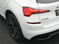 Skoda Kamiq - Vorschau Bild 19