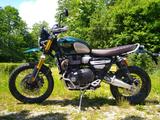 Triumph Scrambler Steve McQueen 1200 XE - Offers