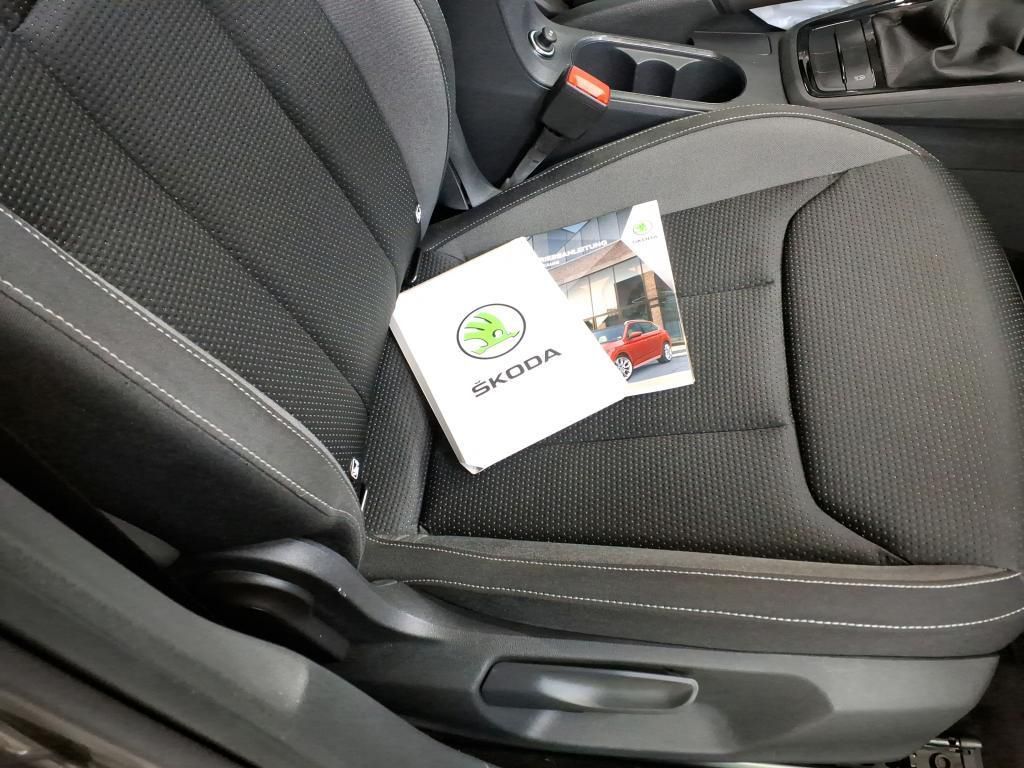 Skoda Kamiq Ambition 1.0 TSI AHK*Tempo*PDC*SH